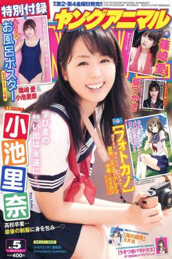 bt磁力兔子